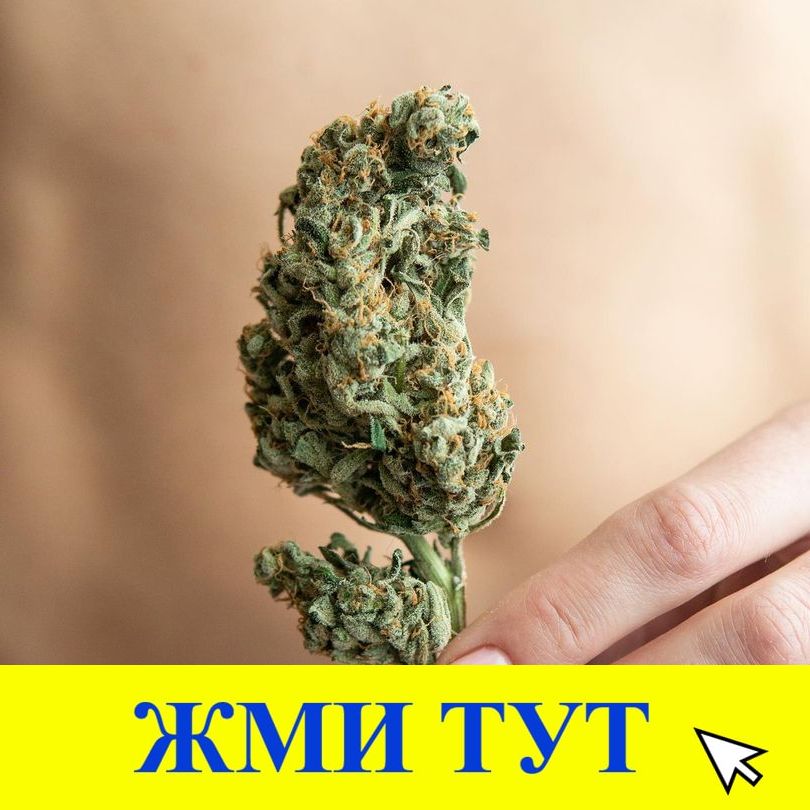 Купить наркотики в Кушве